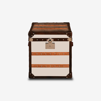 Stellar Metal-Leather Vintage Trunk