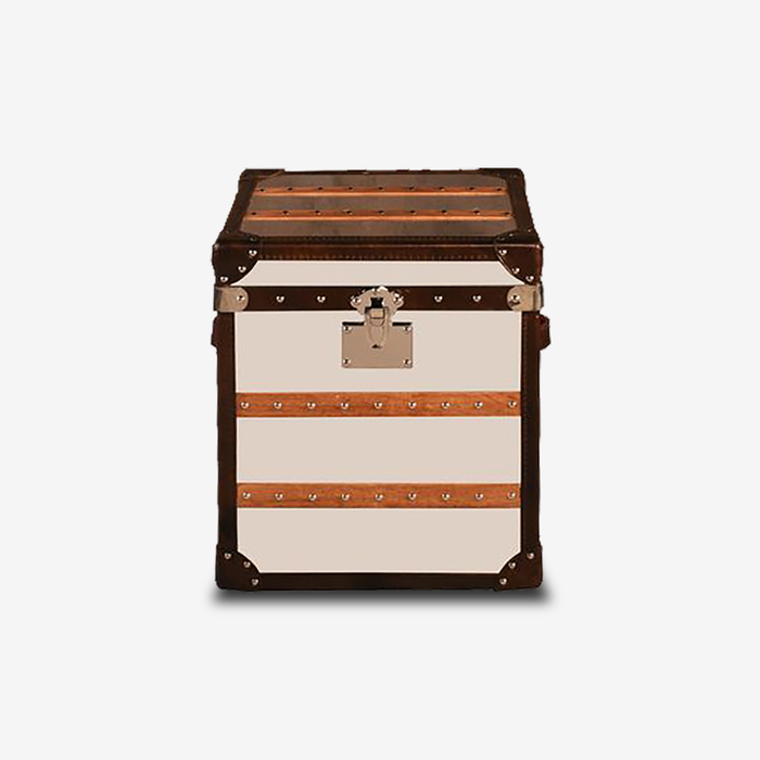 Stellar Metal-Leather Vintage Trunk