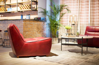 Cassie Modern Leather Armchair