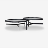 Dual-Layer Solid Wood Metal Coffee Table