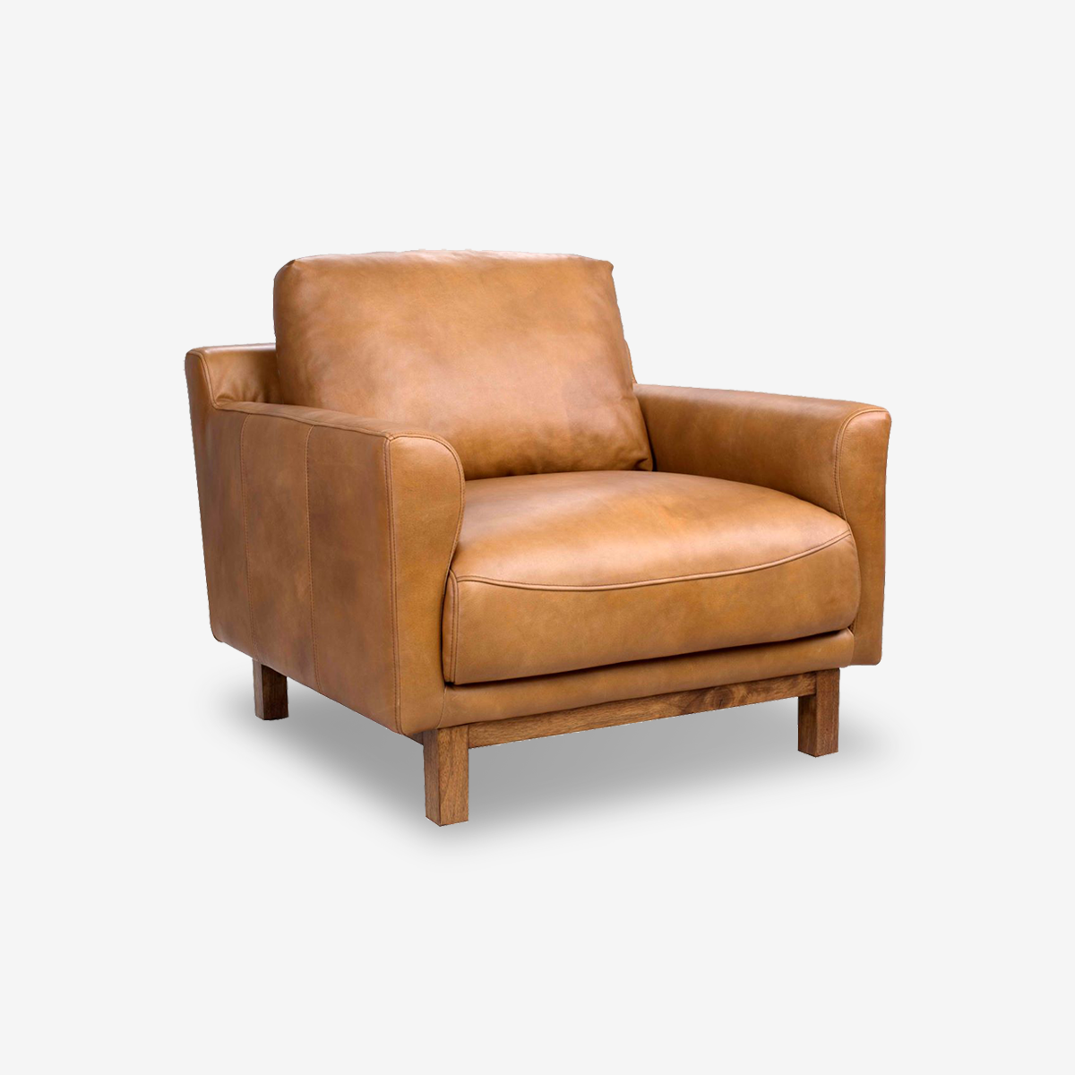 Gabriel Minimalist Leather Armchair