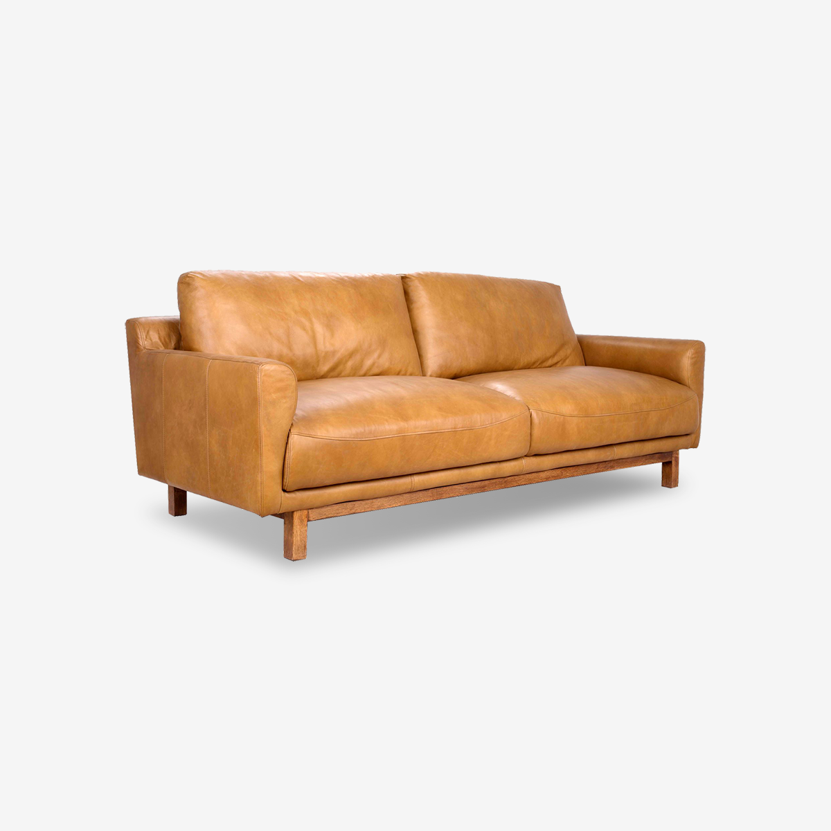 Gabriel Minimalist Leather Sofa