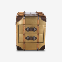 Aero-Explorer Vintage Trunk