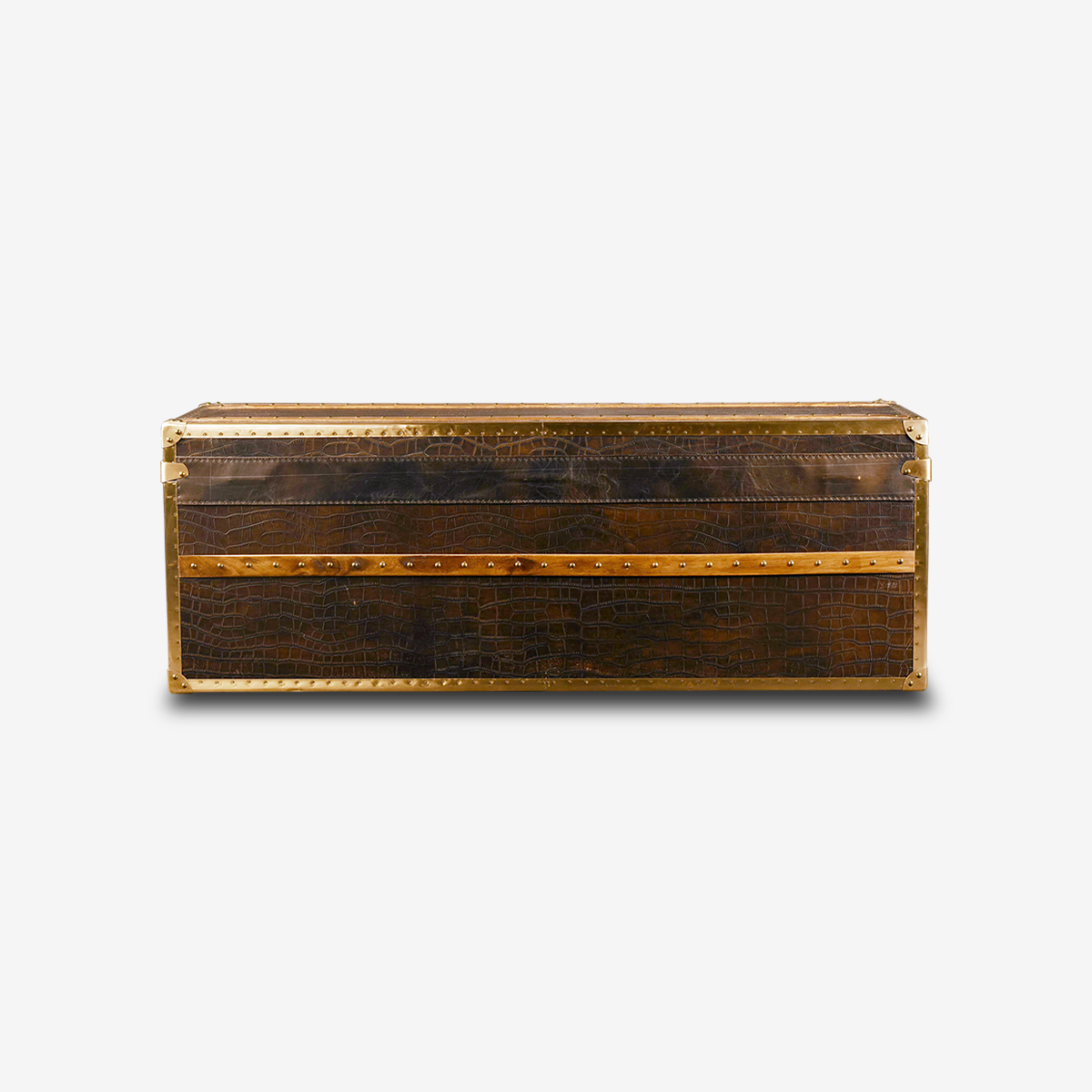 Vintage Antique Crocodile Trunk-RT130